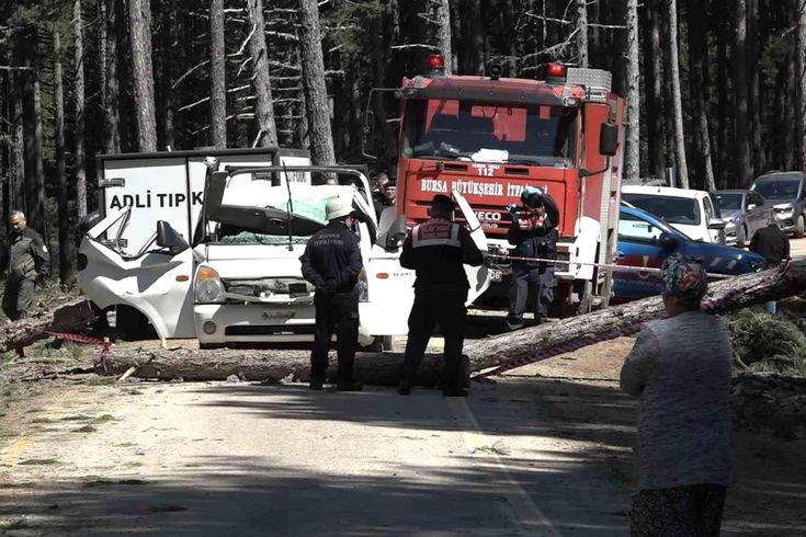 Uludağ'da inanılmaz olay...Kesilen ağaç seyir halindeki kamyonetin üzerine devrildi: 1 ölü