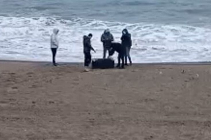 Sakarya'da sahile vuran çantadan 21,5 kg uyuşturucu çıktı