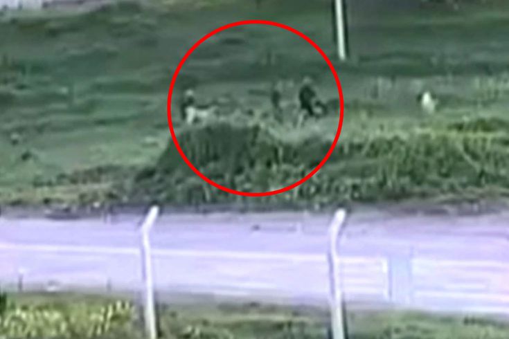 Baba ve oğlunun köpeklerine öfkelenip komşularını darbettiği anlar kamerada