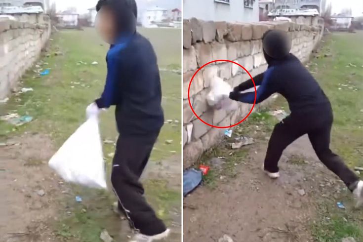 Van'da bir grup çocuk kediye böyle eziyet etti! Çuvala koyup duvara vurdular