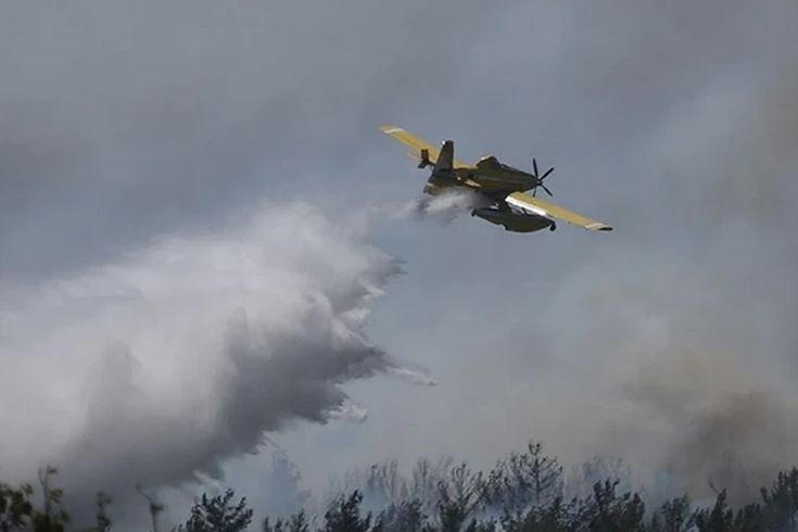 Polonya'da orman yangını söndürme çalışmalarına katılan uçağın düşmesi sonucu pilot öldü