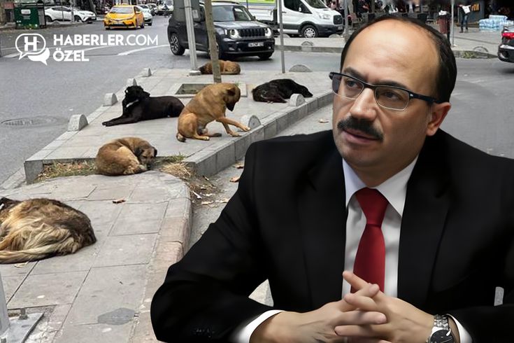 Köpeklerle ilgili sözleri gündem yaratan Osman Mesten'den ilk açıklama