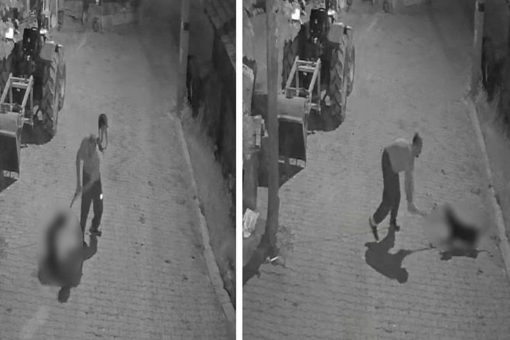 Köpeği demir sopayla döverek öldürdü