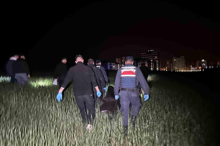 Suspect who stabbed elderly man to death in the field has been caught