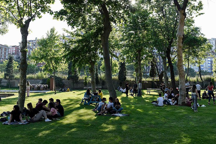 Öğrencilere ne olacak? YÖK'ten kapatılan Bilgi Üniversitesi'yle ilgili açıklama