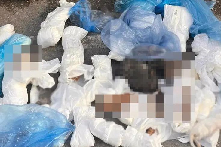 33 kedinin ölü bulunduğu olayda gözaltına alınan veteriner tutuklandı