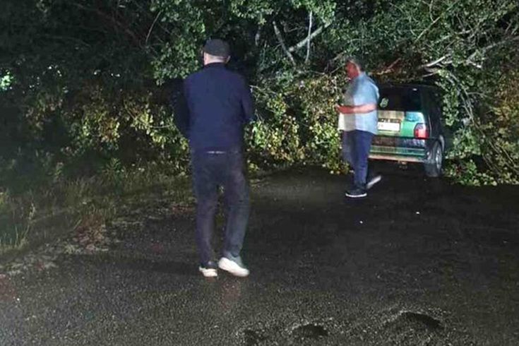 Bartın'da şiddetli fırtına: Ağaçlar otomobillerin üzerine devrildi