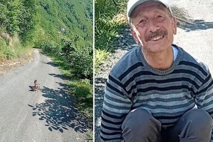 Yolda yürürken gördü, mutluluğu yüzüne yansıdı: Arçil ve Şota adını verdi