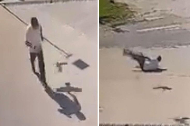 Kendisine saldıran kargadan kaçarken taklalar attı