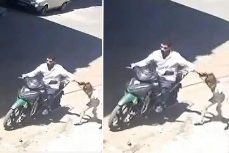 Gaziantep'te kızını darbedip sürükleyen babanın 12 suç kaydı çıktı