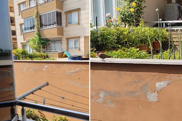 Yok artık diyeceksiniz! İki kez evlenip boşandı, nedenini bakın neye bağladı