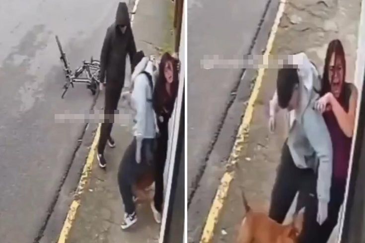 The young woman was attacked by a pitbull dog.