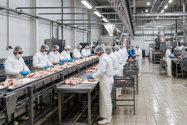 Tavuk firmalarına denetim kayyumu atanmasıyla ilgili başsavcılıktan açıklama