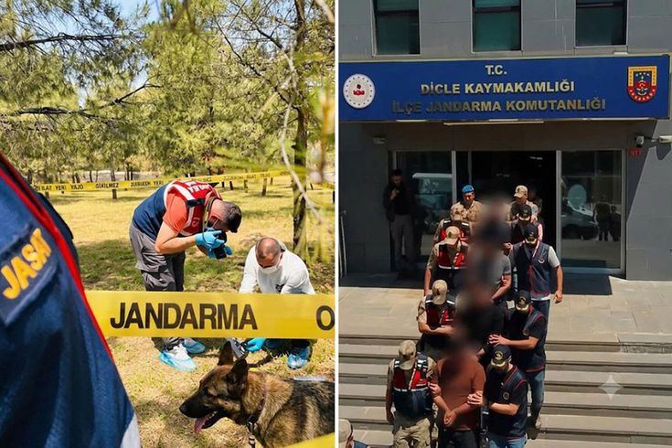 Diyarbakır'da Askeri Balta cinayetinde düğüm çözüldü: JASAT'ın özel ekibi gerçeği ortaya çıkardı