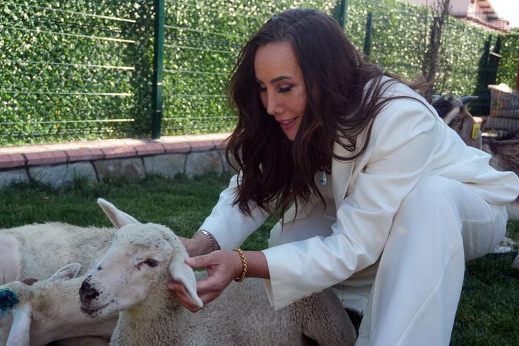 Asena, ağabeyim dediği insanla aşk yaşamaya başladı