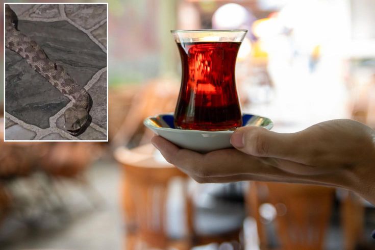 Balkona çay içmeye çıktı, karşısında dev yılanı görünce donakaldı