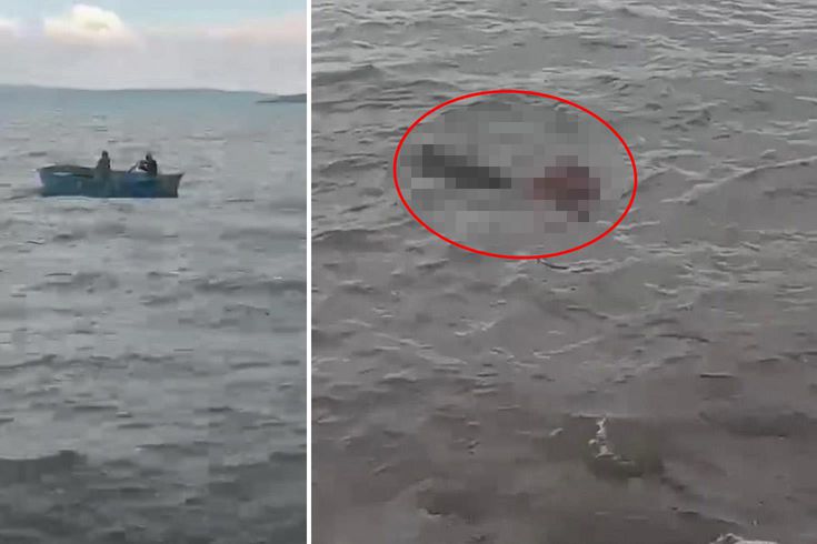 İlk kez dışarı çıkan buzağı, kendini göle vurdu
