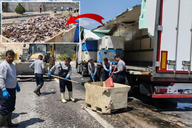 Seyir halindeki tırın dorsesi patladı, 15 ton balık atığı yola saçıldı
