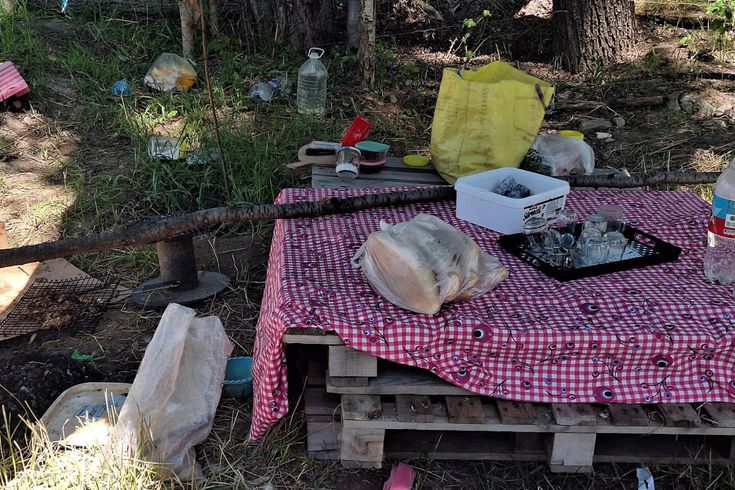 Piknikte tartıştığı eşini bıçaklayarak öldürdü