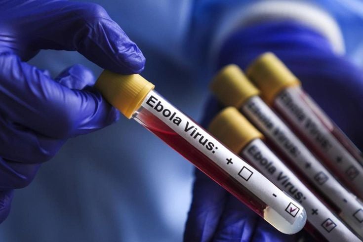 Kongo Demokratik Cumhuriyeti'nde Ebola salgınında vaka sayısı 1155'e yükseldi