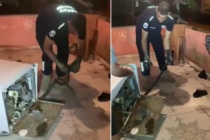 Bulaşık makinesine giren 2 metrelik karayılan evdekilere kabusu yaşattı