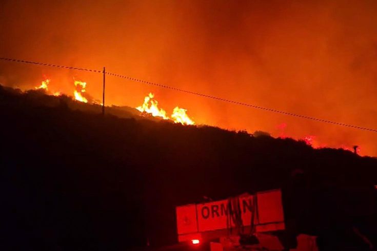 İzmir'de makilik alanda yangın