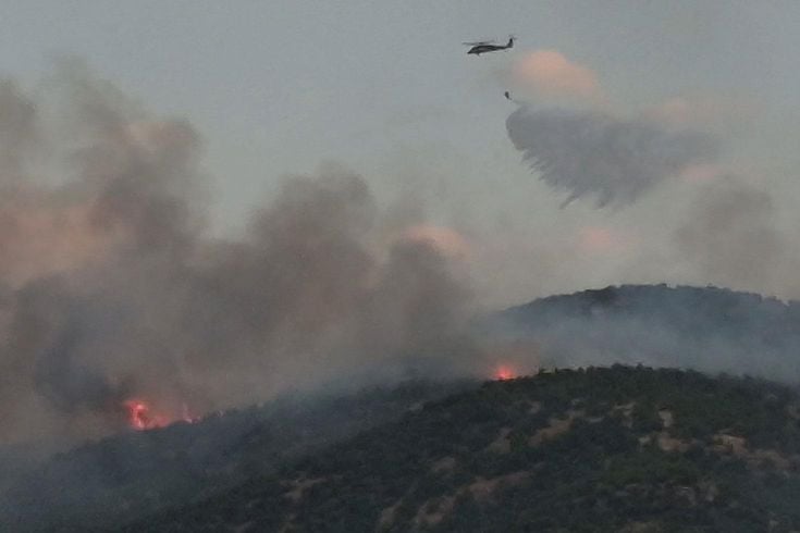 Malatya'da orman yangını: Saatlerdir müdahale ediliyor