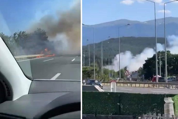 Kestel'de orman yangını: Havadan ve karadan müdahale devam ediyor