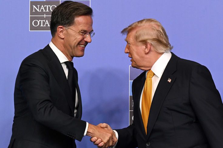 Rutte, Trump'a tek laf söylemedi