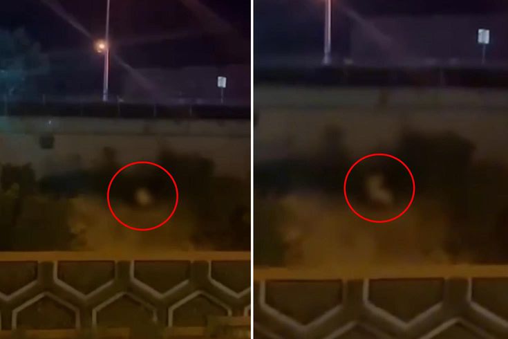 Görüntü Türkiye'den! Kimseye aldırmadan yol kenarında cinsel ilişkiye girdiler