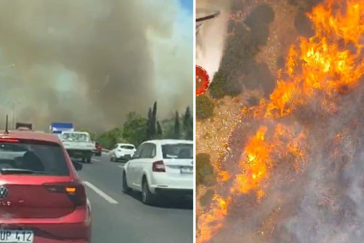 A fire broke out in a forested area in the Akhisar district of Manisa.