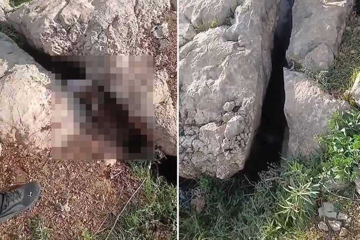 Altın ararken karşılaştıkları manzara karşısında donup kaldılar