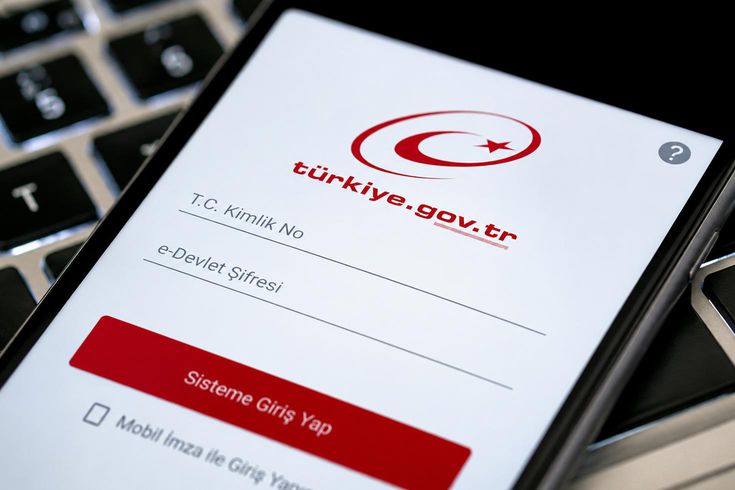e-Devlet'e giren milyonlarca kişi aynı ekranı kontrol ediyor