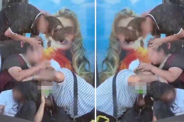 Kimseye aldırmadan saçlarındaki bitleri ayıkladılar