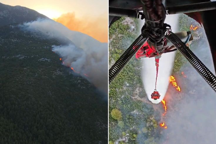 Kaş'ta orman yangını! Havadan ve karadan müdahale başladı