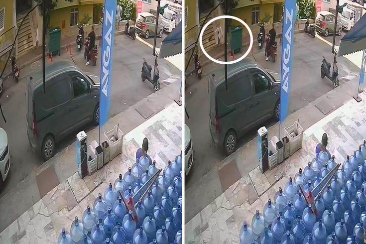 Kediyi yerden alıp fırlattı, görüntülere tepki yağdı