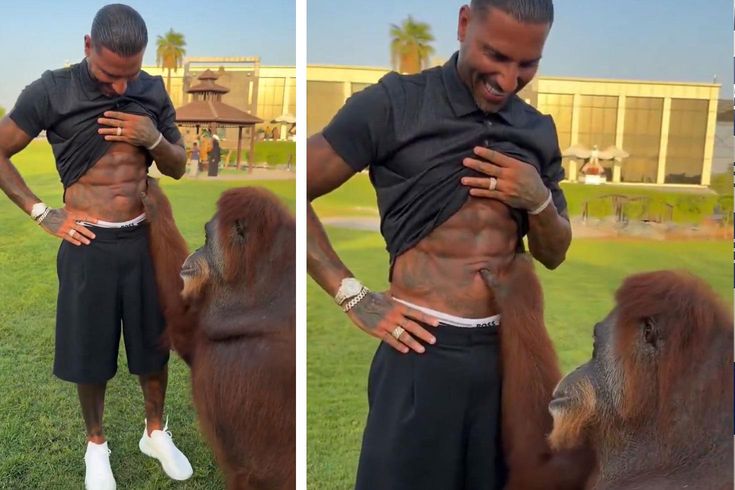 Orangutan, Quaresma’nın kaslarına hayran kaldı
