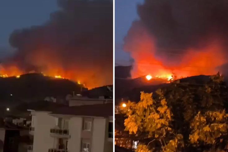 Aydın ve Balıkesir'de orman yangını! Havadan ve karadan müdahale devam ediyor