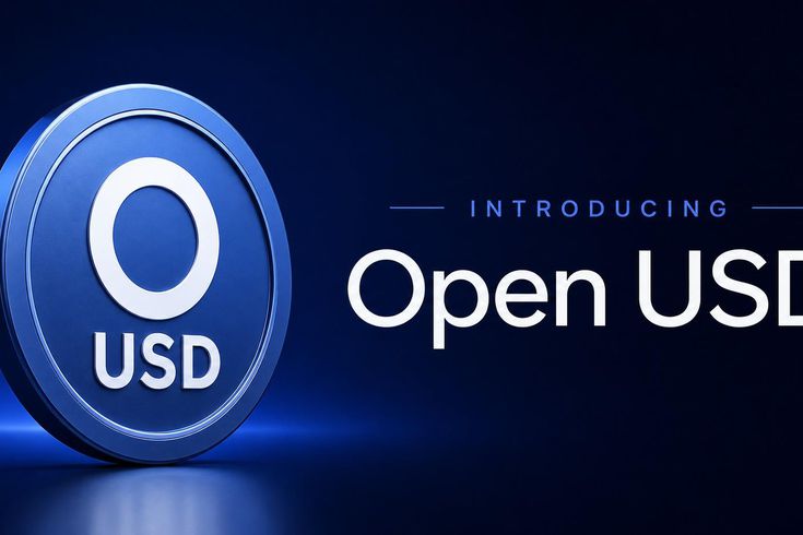 BlackRock ve Visa destekli yeni stablecoinin kullanacağı Blockchain belli oldu