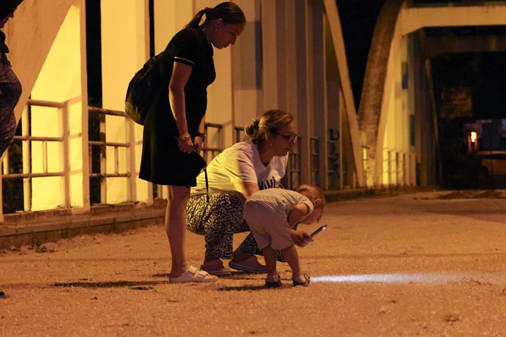 Aynı gün çiftleşip topluca öldüler