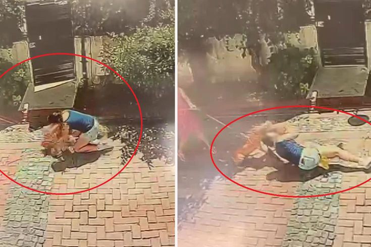 Samsun'da pitbull dehşeti: Küçük kızı yere savurdu, köpeğini ise ağır yaraladı