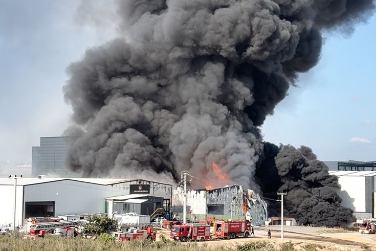 Kocaeli'de kimya fabrikasında yangın: 2 işçi yaralandı, 2 at telef oldu