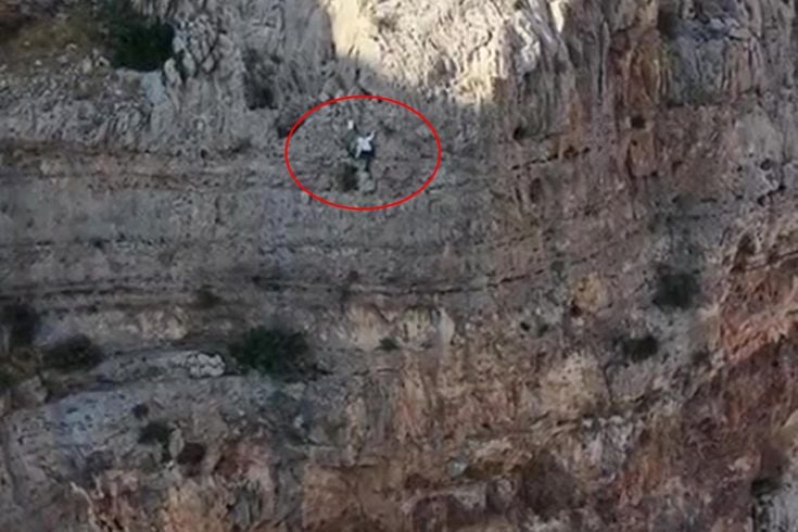 600 metrelik uçurumda tehlikeli hasat! Kilosu 15 bin liradan satılıyor