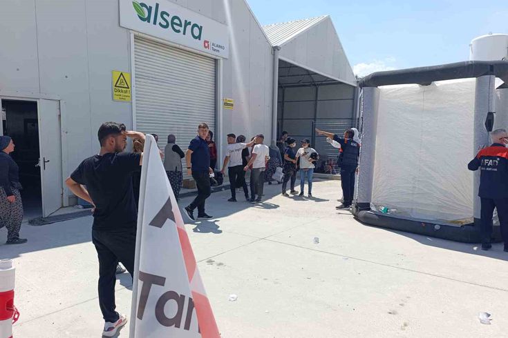 Poisoning in a tomato greenhouse in Afyonkarahisar: 33 workers hospitalized
