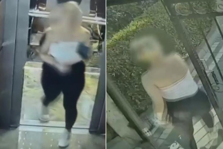 'Balkız' trap! Cameras recorded all the disgrace.