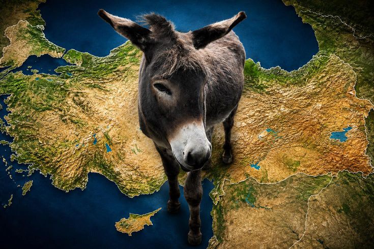 Bu üç şehrimizde oturan vatandaşlarımıza at ve eşek eti yedirdiler