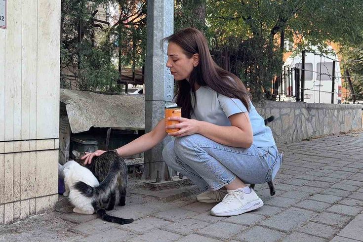 Kütahya'da vahşet: Sokak kedisinin başını ve ayaklarını kesip apartmanın önüne bıraktılar