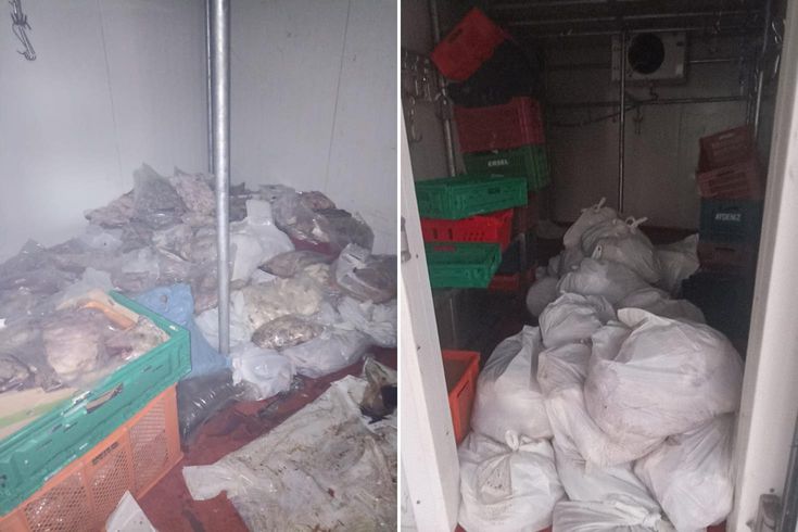 A bad odor report in Bodrum prompted teams to take action: 400 kilograms of spoiled meat were seized.