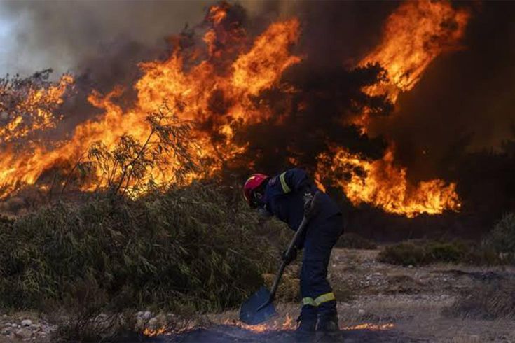 Forest fires in Algeria: 12 lives lost