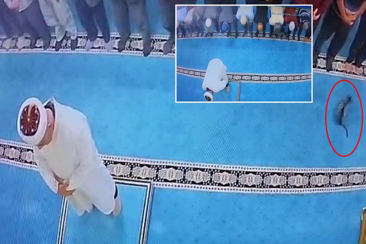 Namazda tekmelediği kedi imamın başına çarptı! Şüpheli gözaltına alındı
